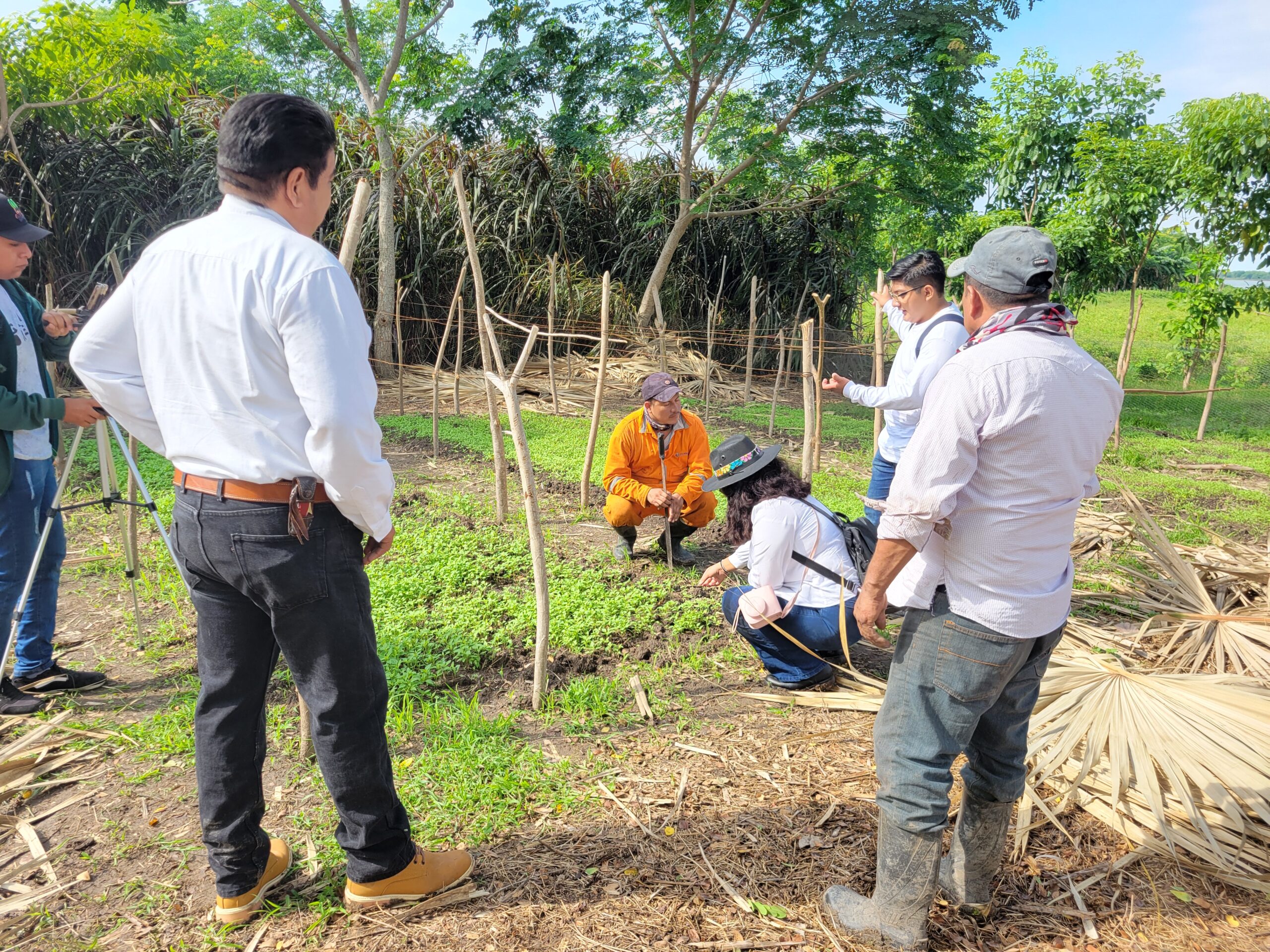 Agricultores explicando